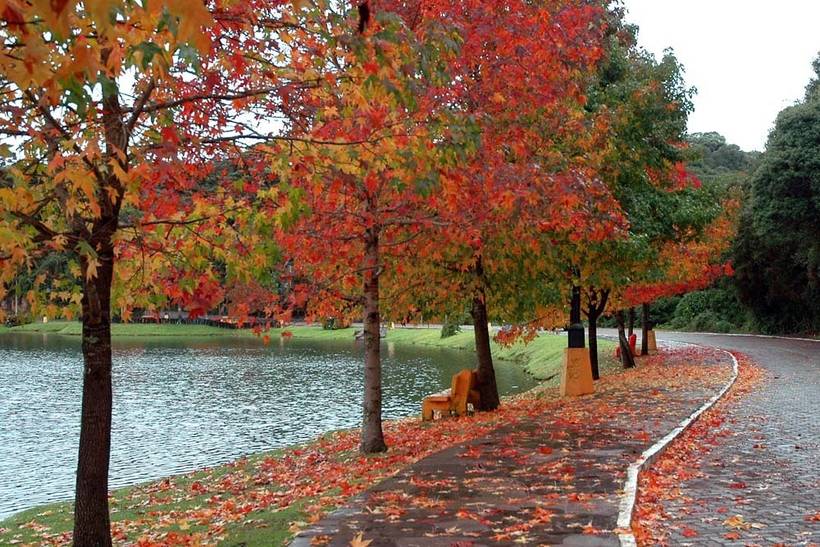 São Francisco de Paula (RS) - Banco de Imagens