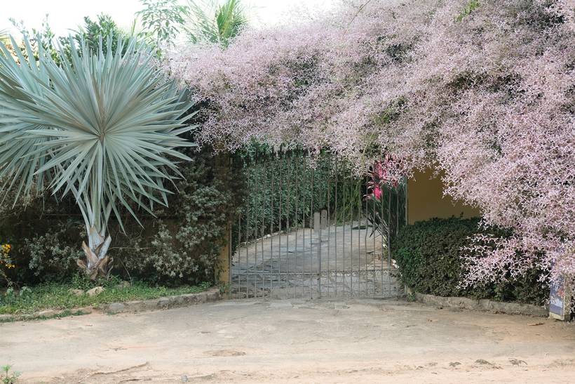O NOSSO ESPAÇO - DIA