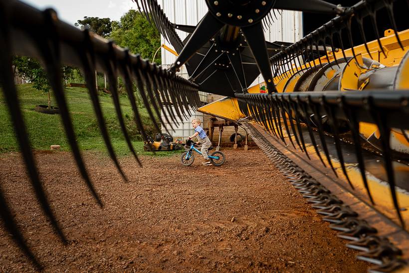 COLEÇÃO PREMIADA Getúlio na Casa da Nona