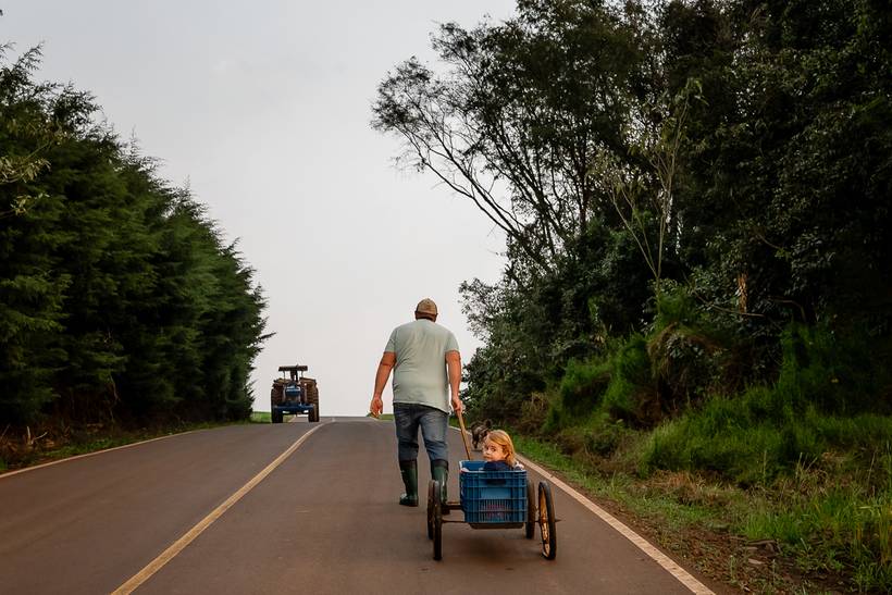 Coleção - Laura Um dia na Colônia