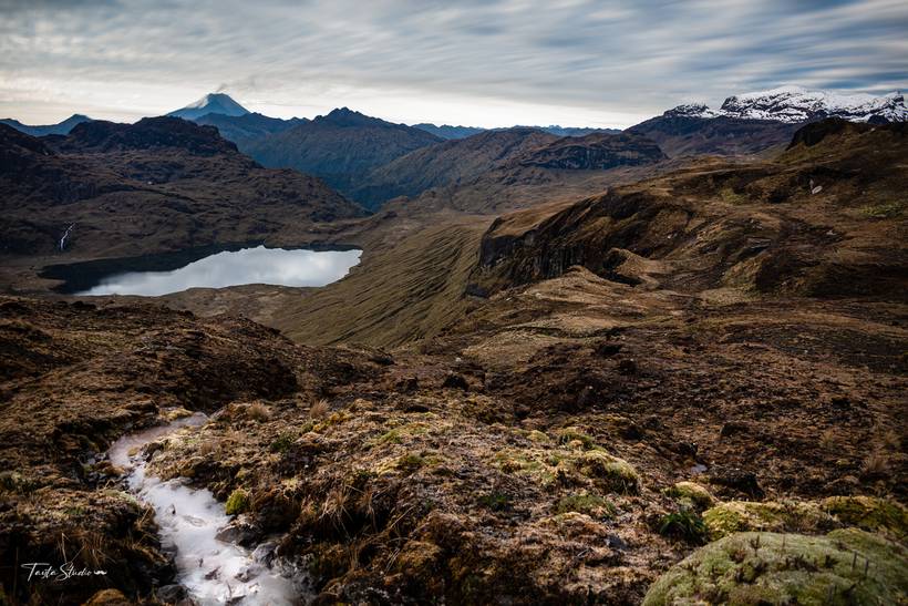 Natura Travel Postal