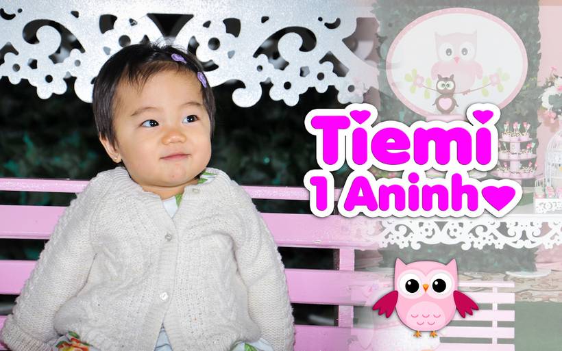 Álbum Temático - Corujinhas