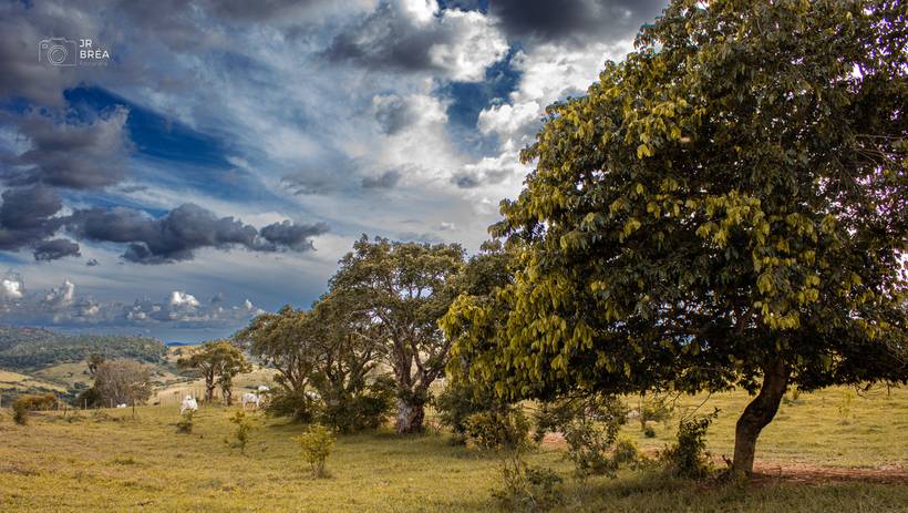 paisagem